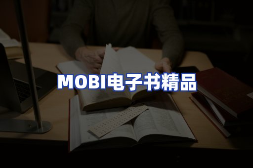 外文电子书产品