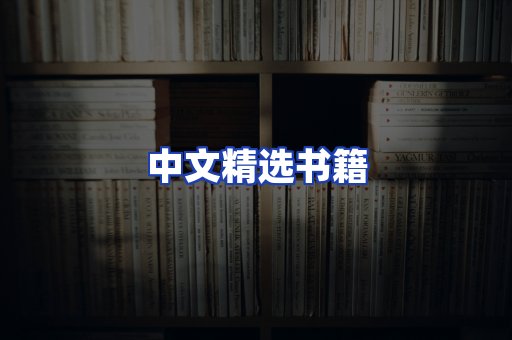 中文精选书籍